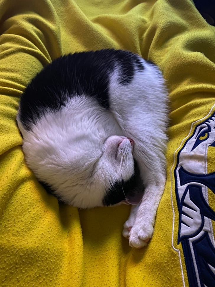 6189695506a265738e0524cd5b 6189695506a265738e0524cd5b