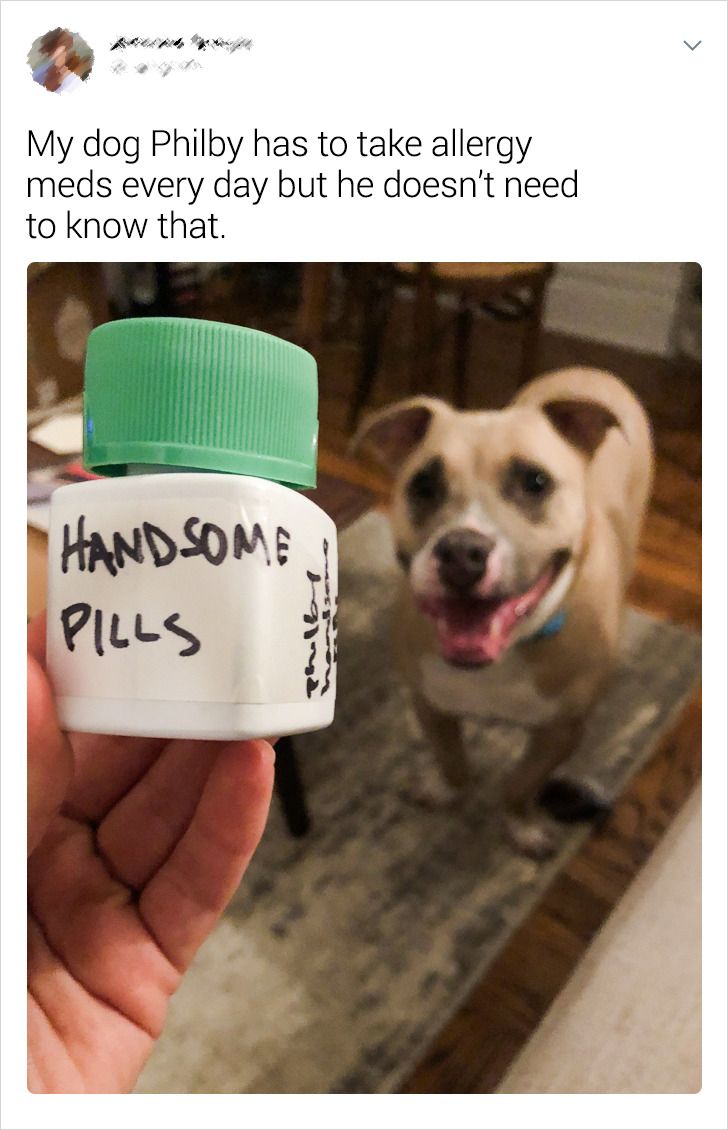 61906d52318933bd0c07341a50