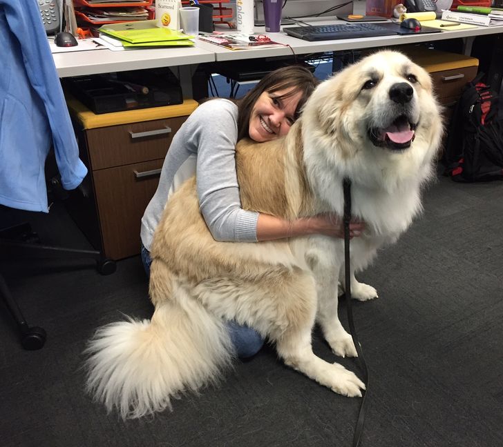 619134595f864b87534592a68f