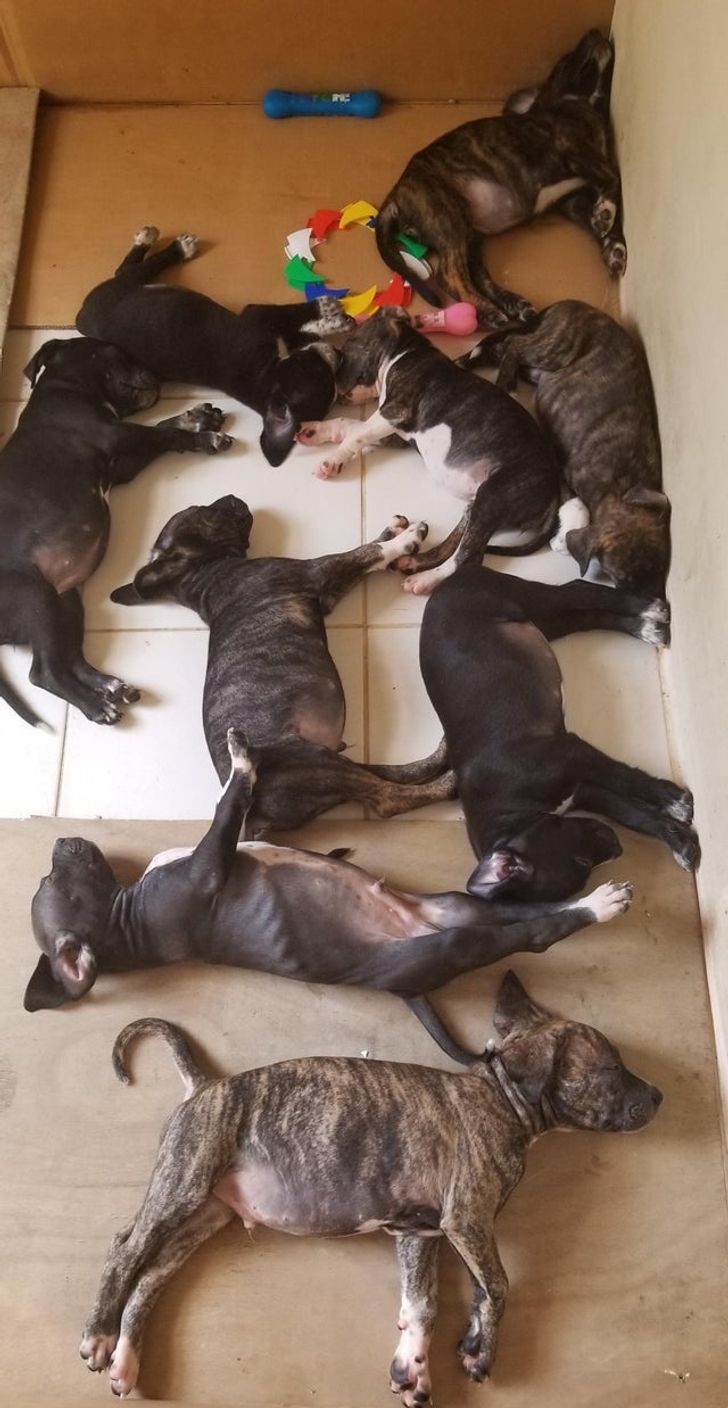 6194085c61a335de4bd4876bf3