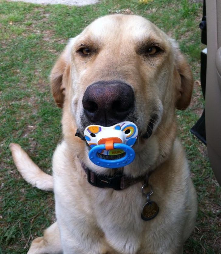 61a044558780d716f0a380dad7