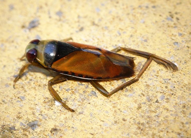 61a5715706a74f9fa3552e1b56