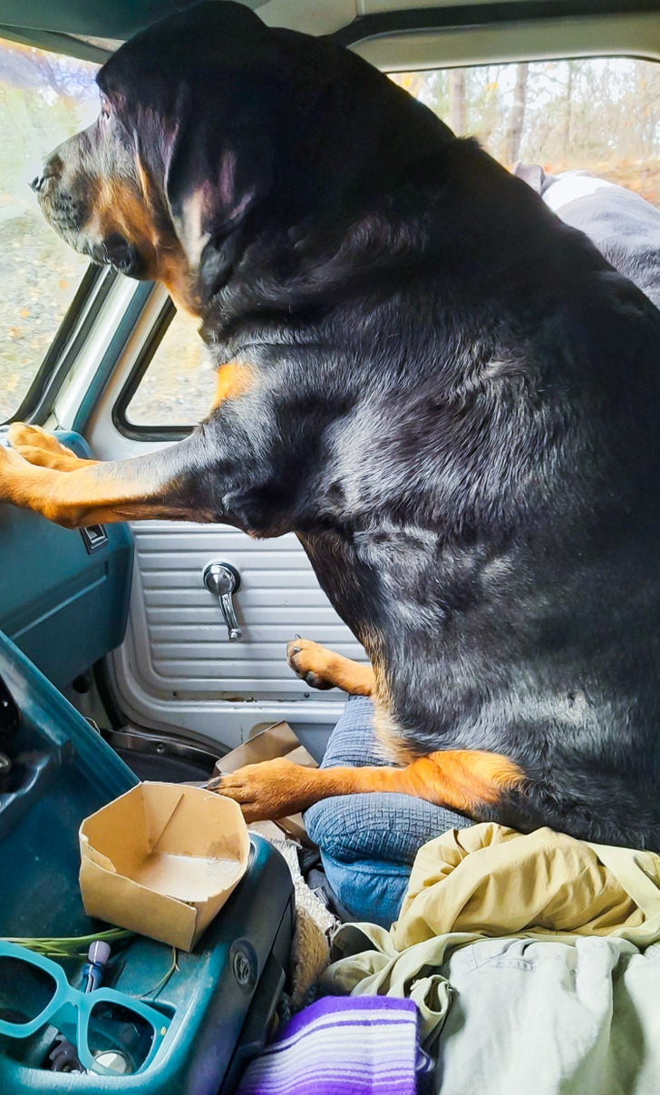 61a58a50edaa8aed2be3841037 61a58a50edaa8aed2be3841037