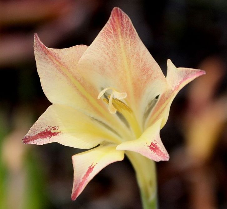 61ab84507a82abde5ba9c338ae 61ab84507a82abde5ba9c338ae