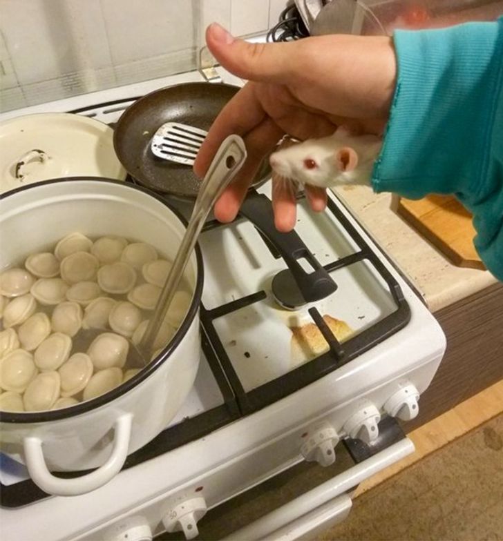 61ac4052959d2493449ad25f17