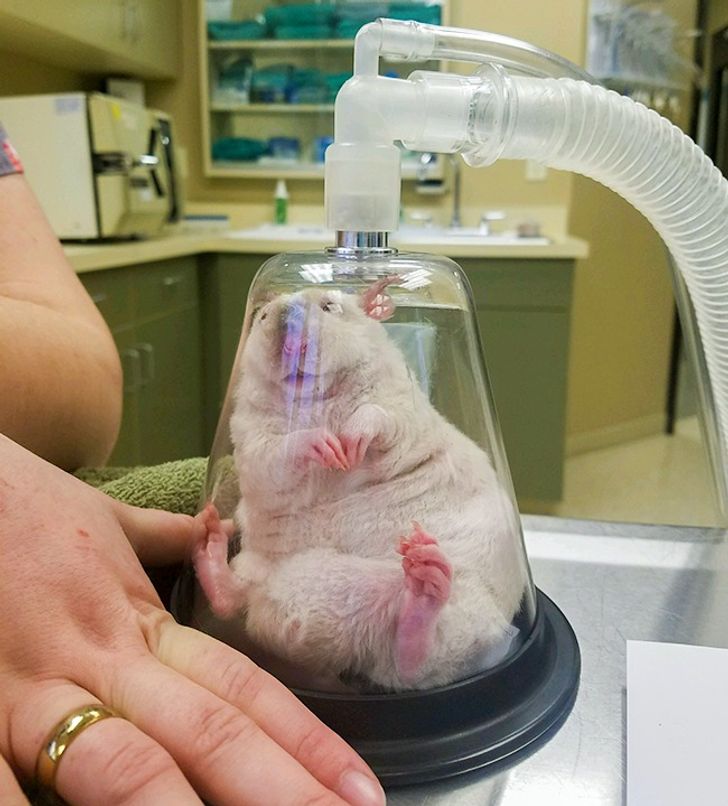 61ad1d5ca39d449320cd2acec6