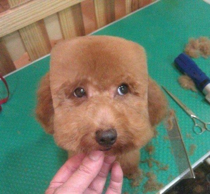 61af70519889697246e5761726