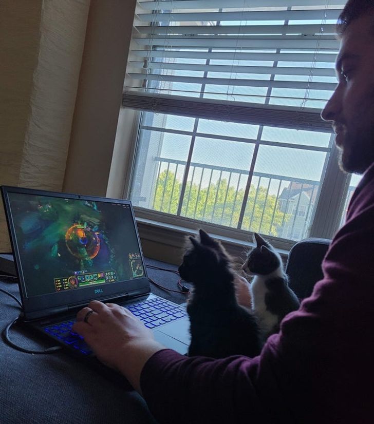 61affa5e7e9d8ccad8a93fd2a7