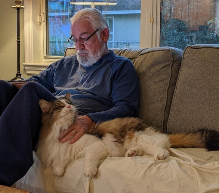 61cd3257acb9b087b66bd7f382 61cd3257acb9b087b66bd7f382