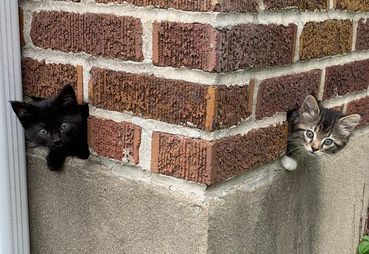 61ce075420a4d62d38ce7b39d7