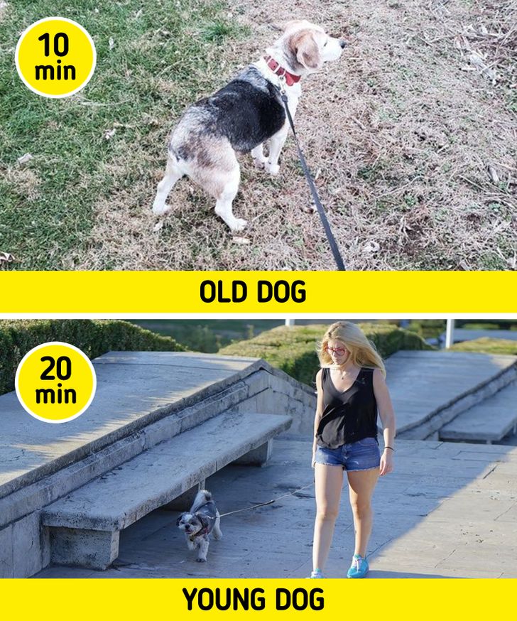 61ce6550debfa7d0e2ee703429