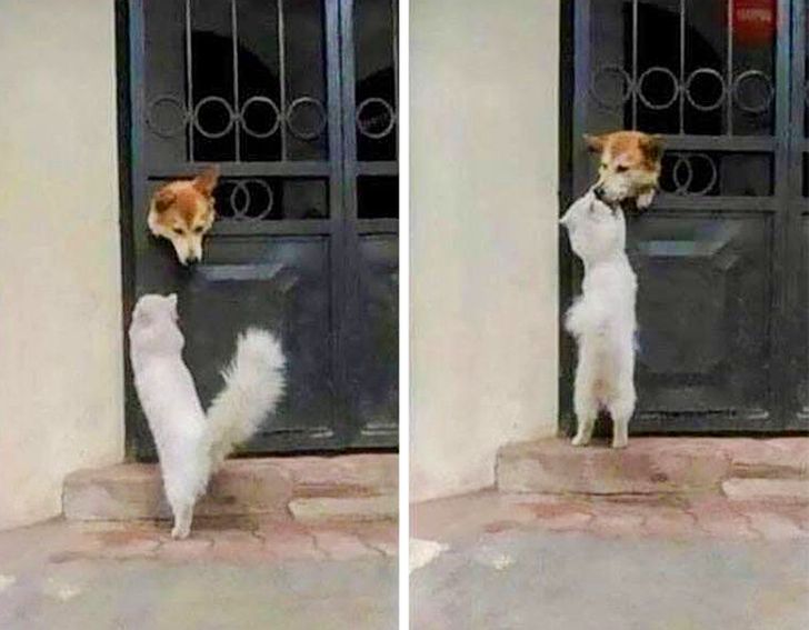 61cf1f5c6aa4e97c022264eadb 61cf1f5c6aa4e97c022264eadb