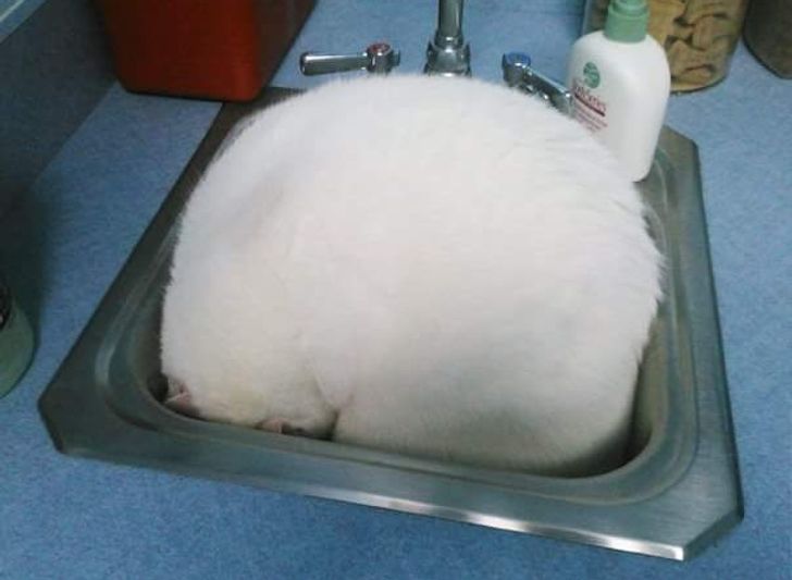 61d5085f4eb0682d122e106fd6