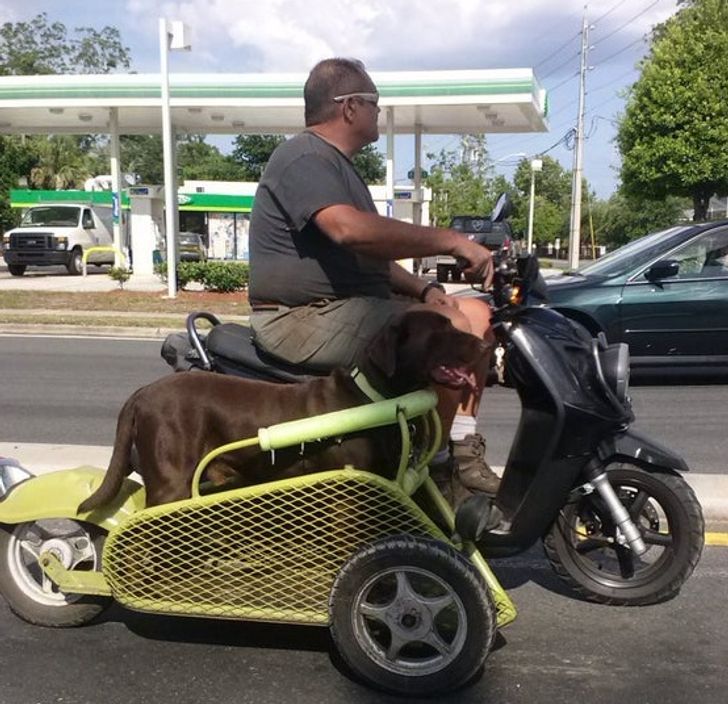 61da055d0f8a3a93e3fe7a8b56