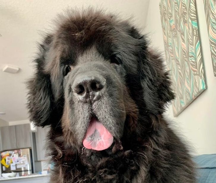 61de98509082d9cccb616f9270 61de98509082d9cccb616f9270