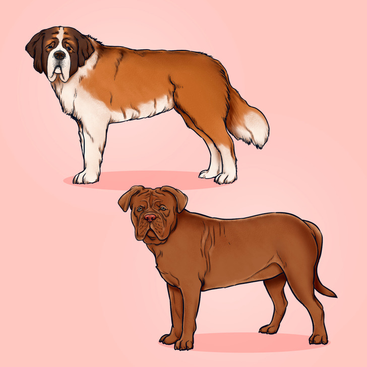 61e90c5d12be8de66cadc3b83c 61e90c5d12be8de66cadc3b83c