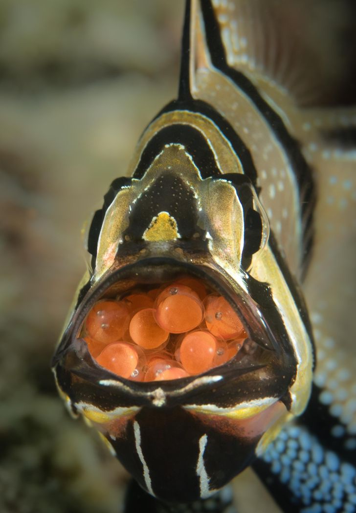 61eb4c5ce6ad566326c79e7858