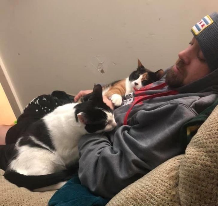 61f78551e7a78ca32e4ff8b118