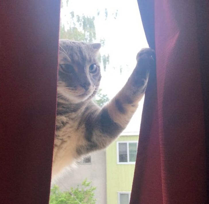 61f993575da3bf3f46e9cd0e01