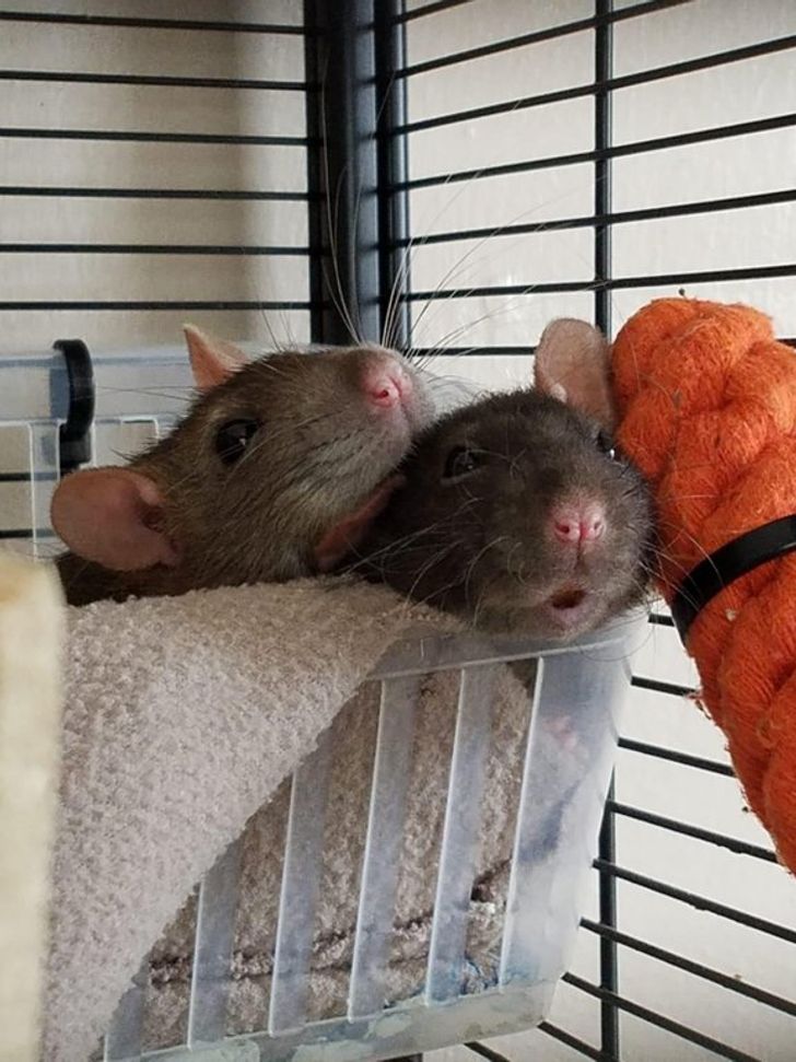 61f9f75fc8a1823965be145ddb