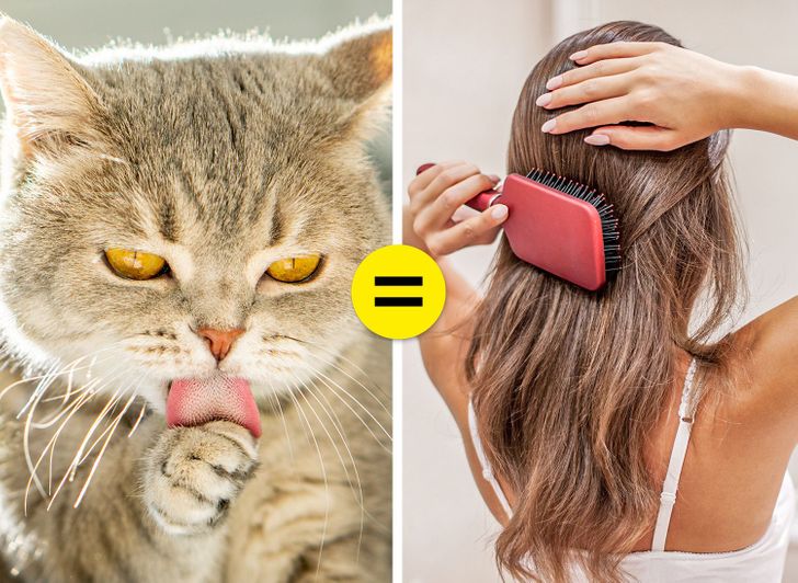 61fb135a5a926aa1be7c50c58c