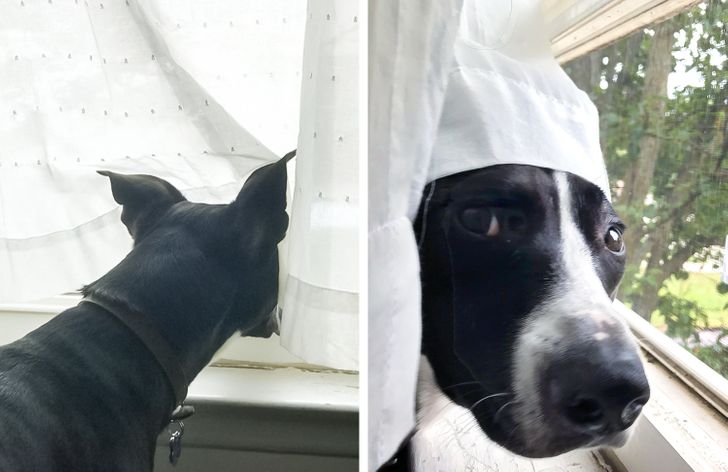 61fd7054ceae7d59db10f83d66