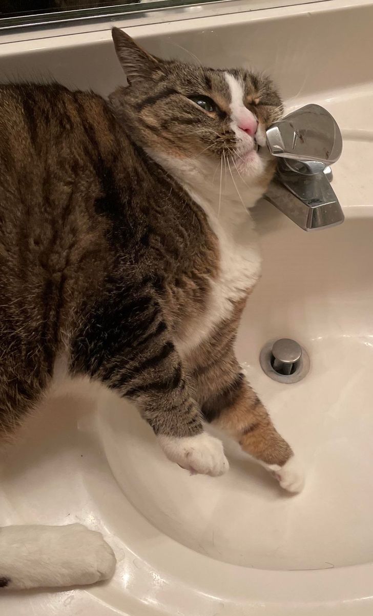 61fea051338f8214e17dbafe1d