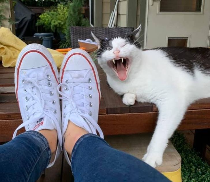 6207ef5dd4a1c6a7ee4306bc5f