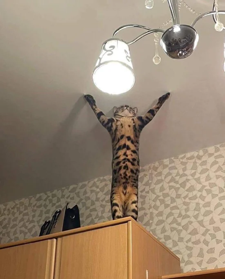 620bd45924bf0761548524972f 620bd45924bf0761548524972f