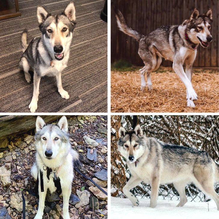 620d01564285417e6f16085a77 620d01564285417e6f16085a77