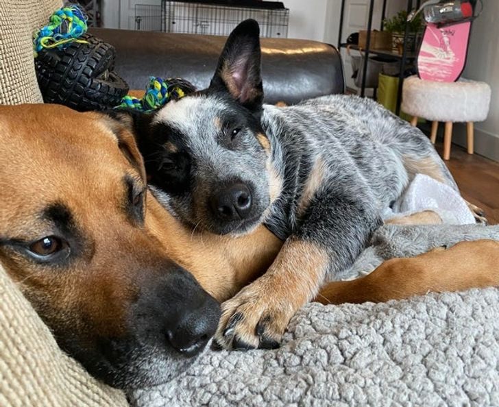 621ab15748866702a3f77c32b2