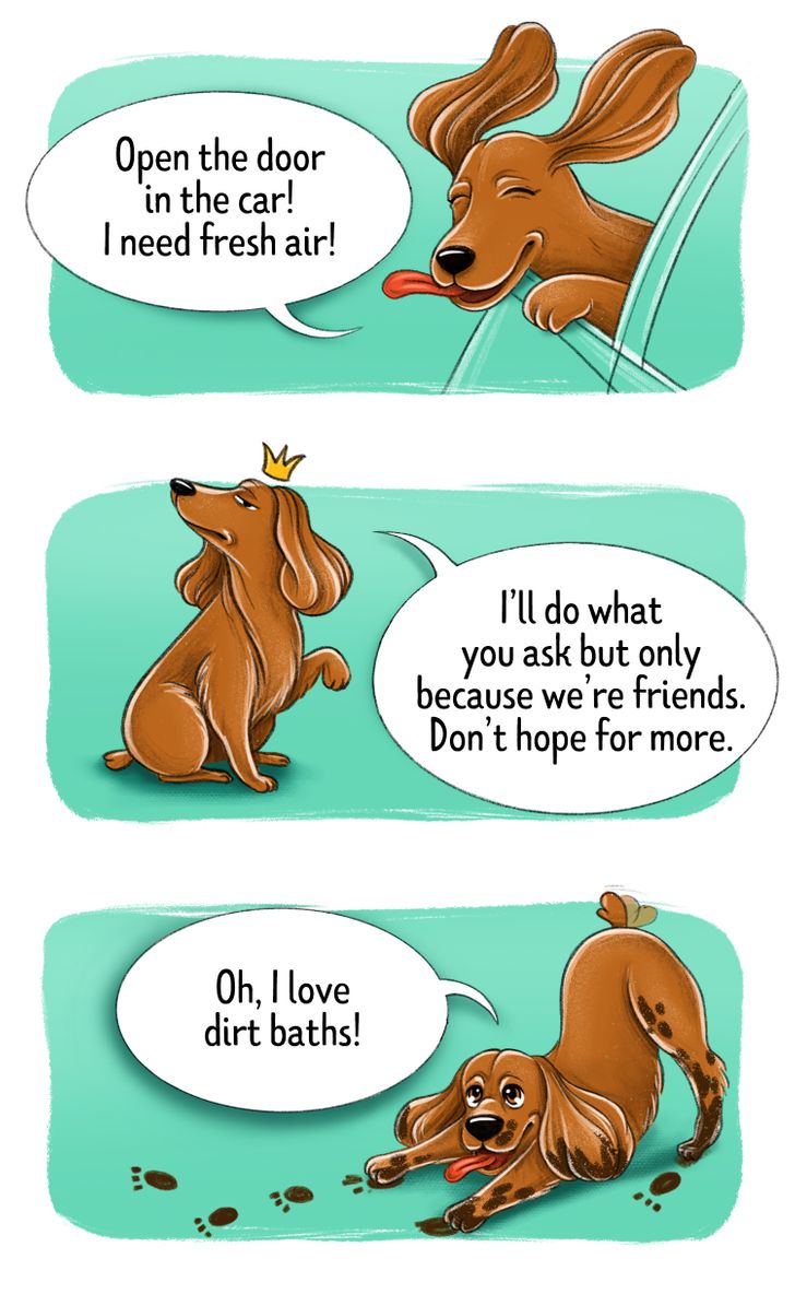 62251b5012965a080f9ea2fd02 62251b5012965a080f9ea2fd02