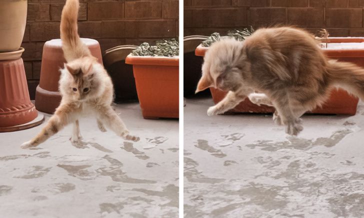 62252152a996a901dc1df4badd