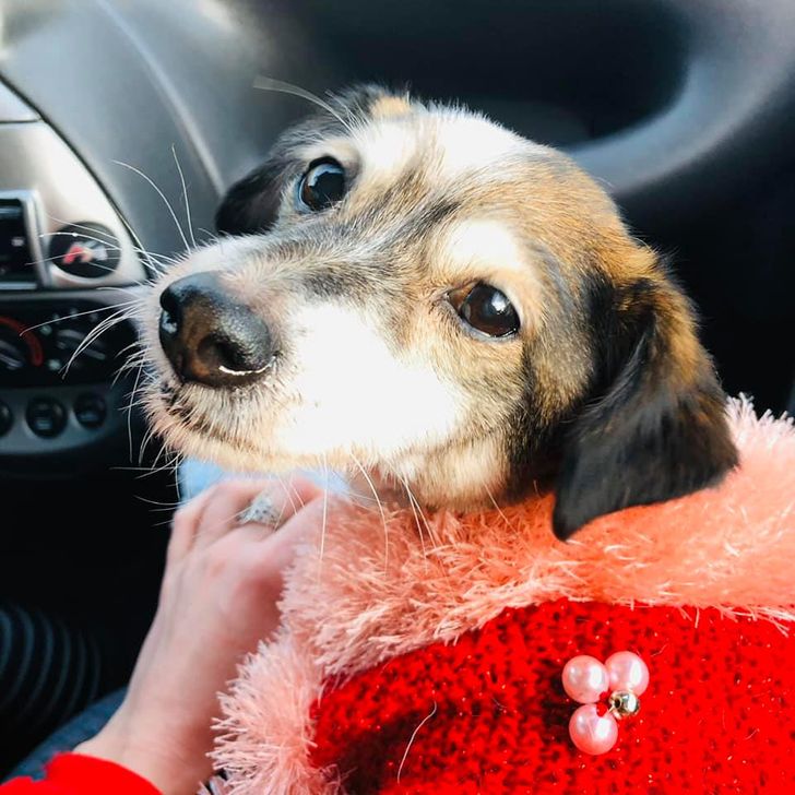 62393a55ab91d480d7b7740b88