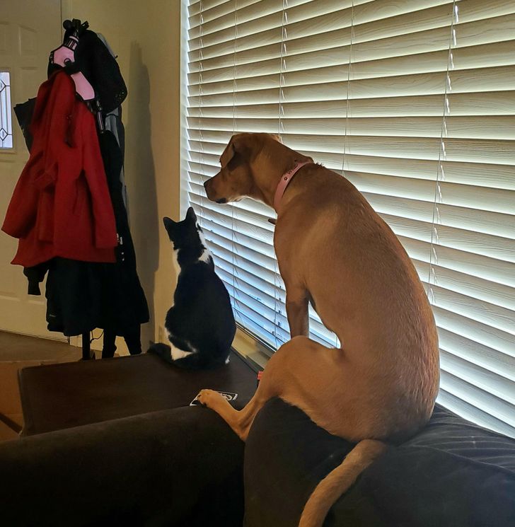 623fe95c7cb727b79c7660d254