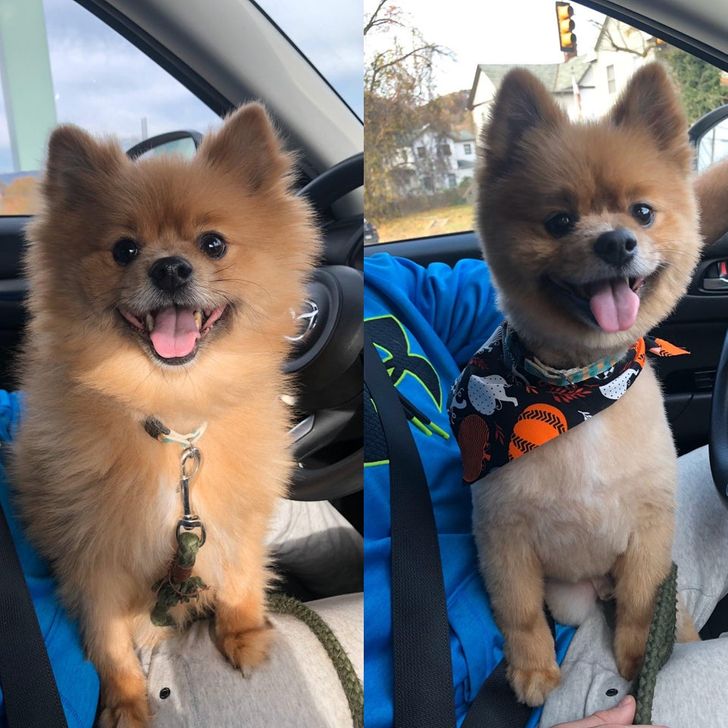 6247d55eb0a1672df3b5cce70b