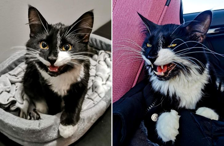 6248205bbb8d92a4c353e42dc6