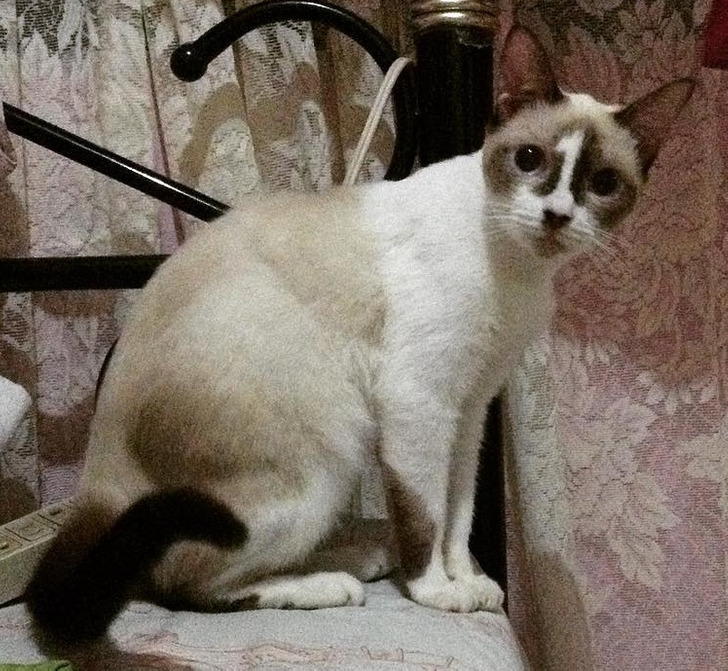 6250ea520da46048dc9cf13e09