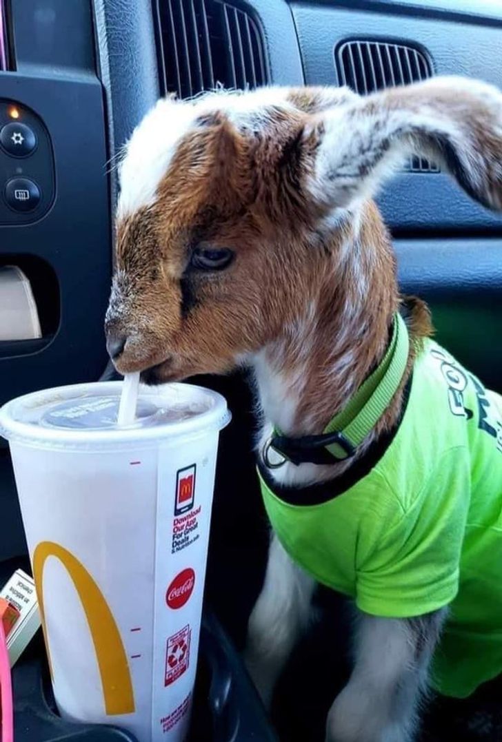 625f9c5695b417e4961b463ec4