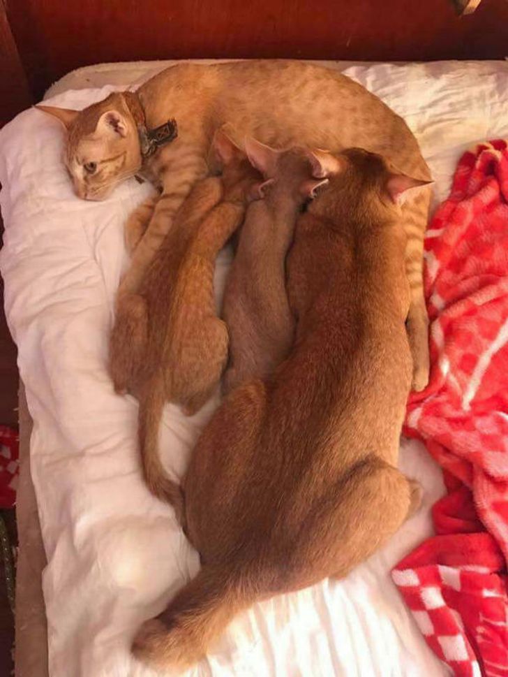 625fcd517ab2375cba248660ac 625fcd517ab2375cba248660ac