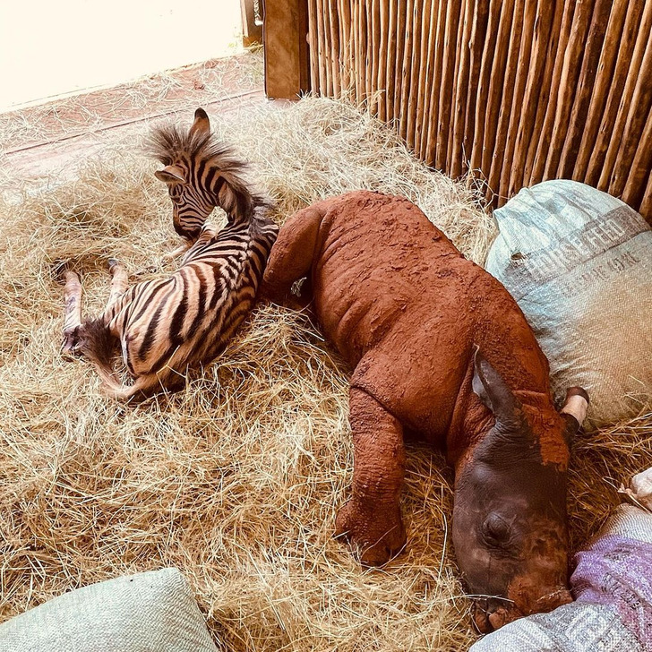 62650c5cf297d9bd9b9cfed3c2