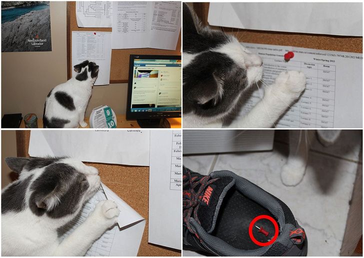 626cc95c6ca8571f5943c1b17e