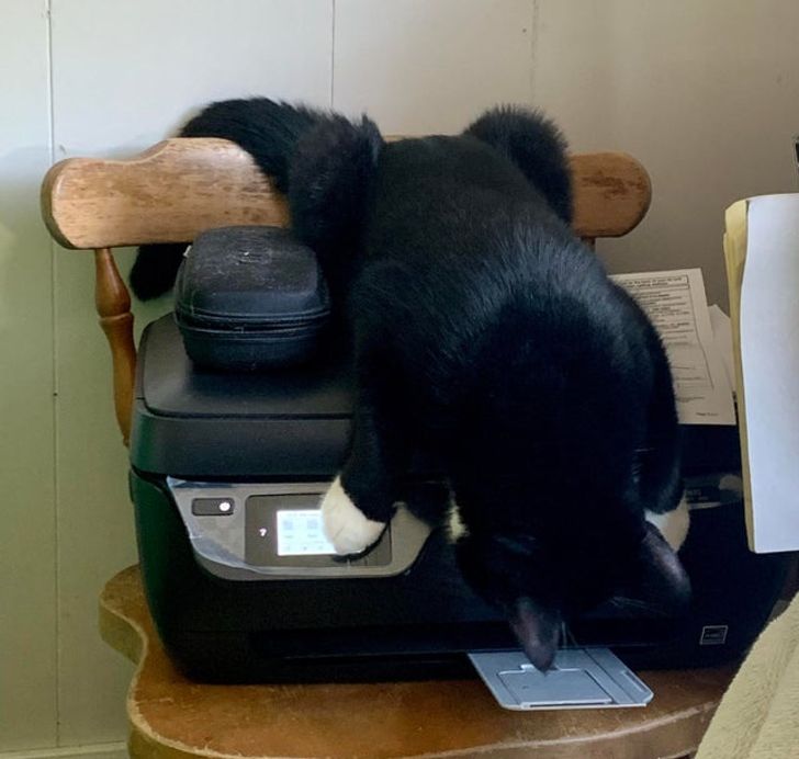 62728b58378bfe14df1c4e863e