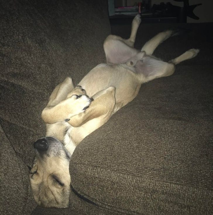 6286f1532fac8b419da6f4a23b