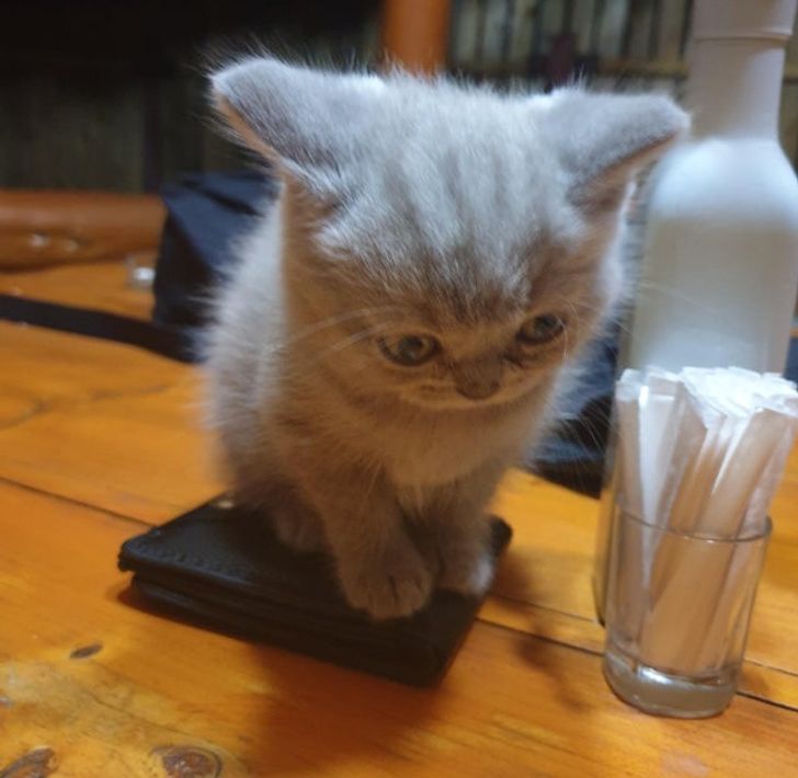 62920650769734b9660f5634a9