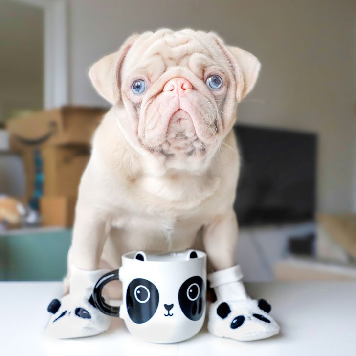 6293fe56aeb20ce0ffa1e6130d