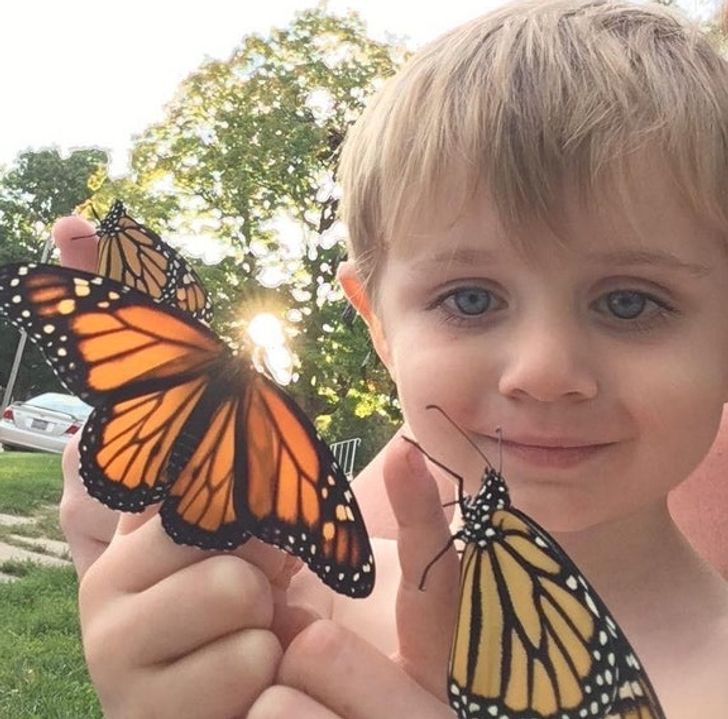 6295555540b3ddc18cfcad4c5a