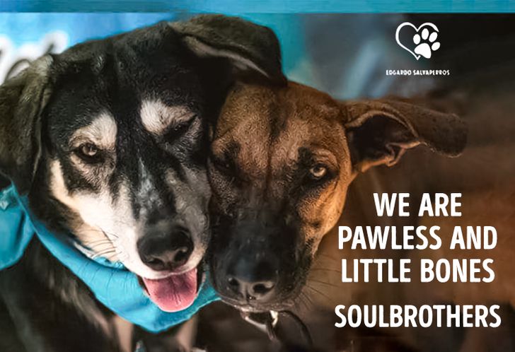 629a775e1e86f742450e5c9889