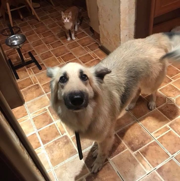 629aa351deaf333e8cd6c56fb4