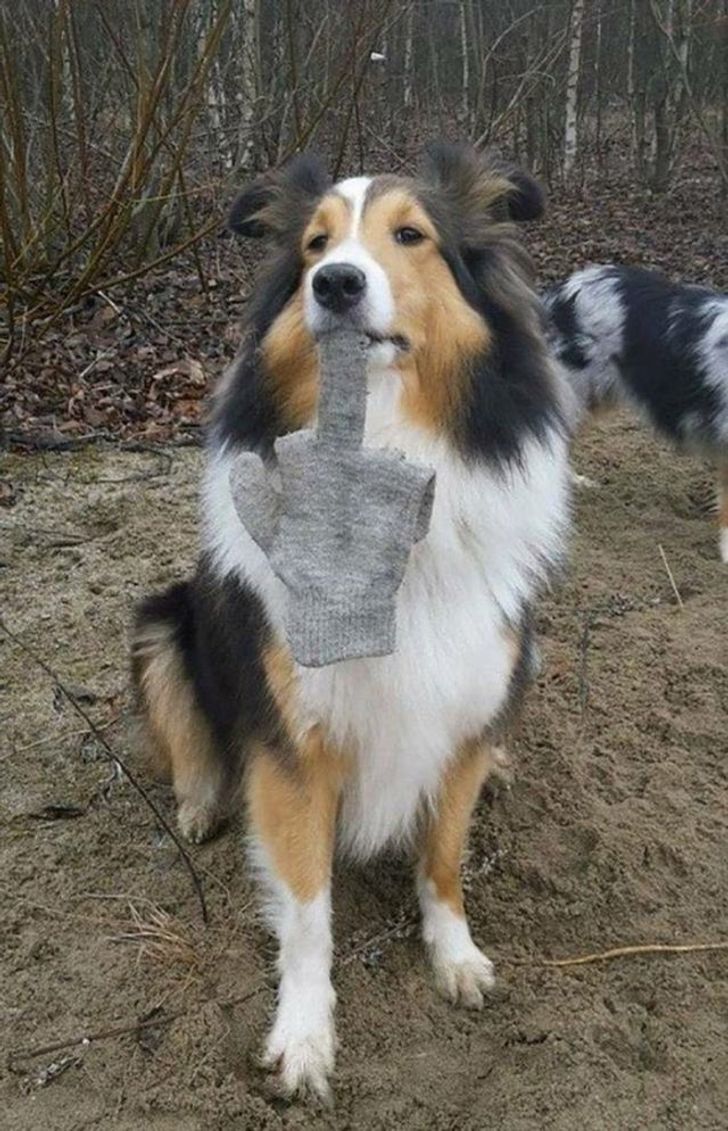 629f8757679e7b7d33fe27d3ab